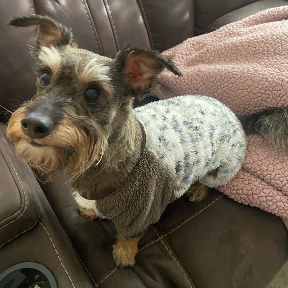 MEET YOUR POSHER - Picture 6 of 8